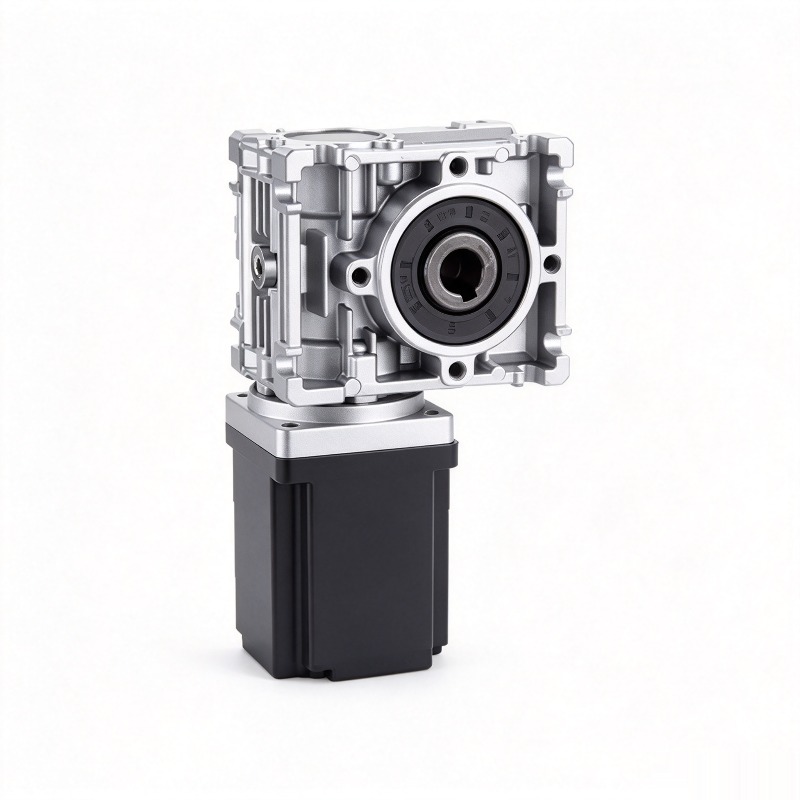 Motore a vite senza fine BLDC  - Bldc Planetary Gear Motor 48V High Torque recensione e prezzo
